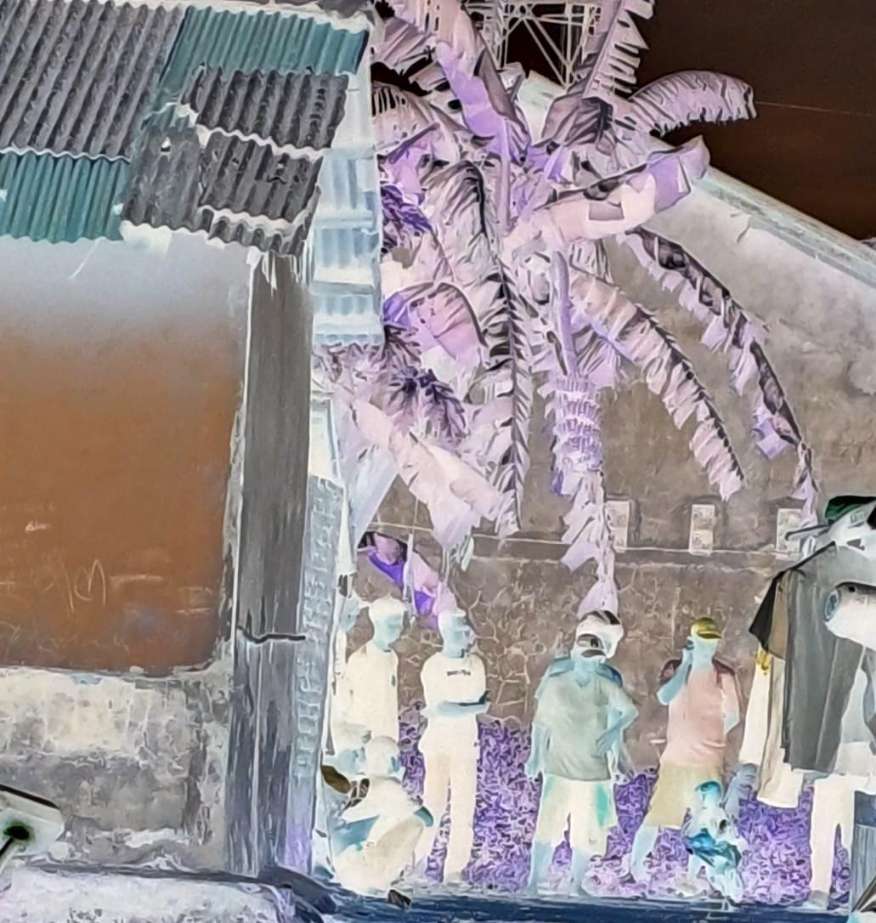 Warga Resah, Kerumunan Misterius di Desa Kalanganyar Diduga Sabung Ayam